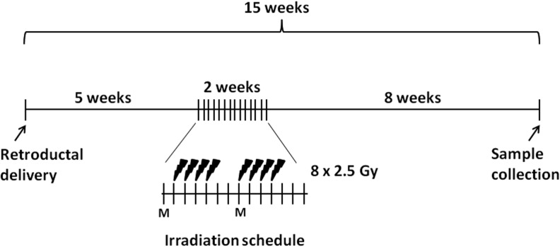 FIG. 1.