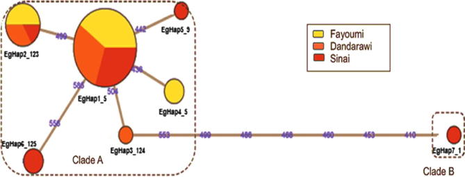 Fig. 3