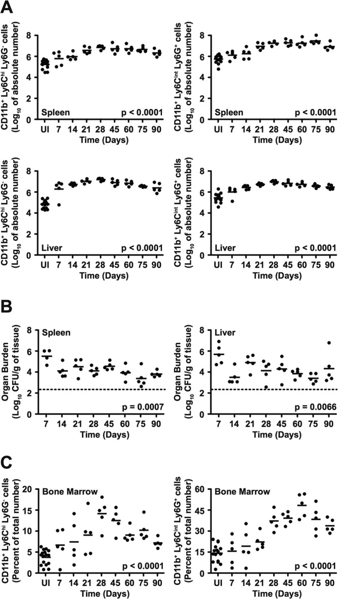 FIG 3