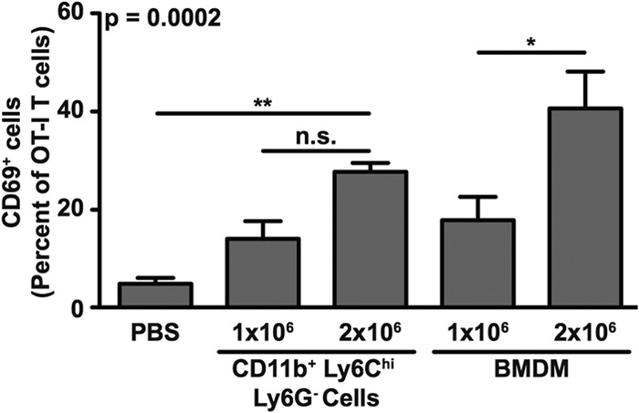 FIG 8