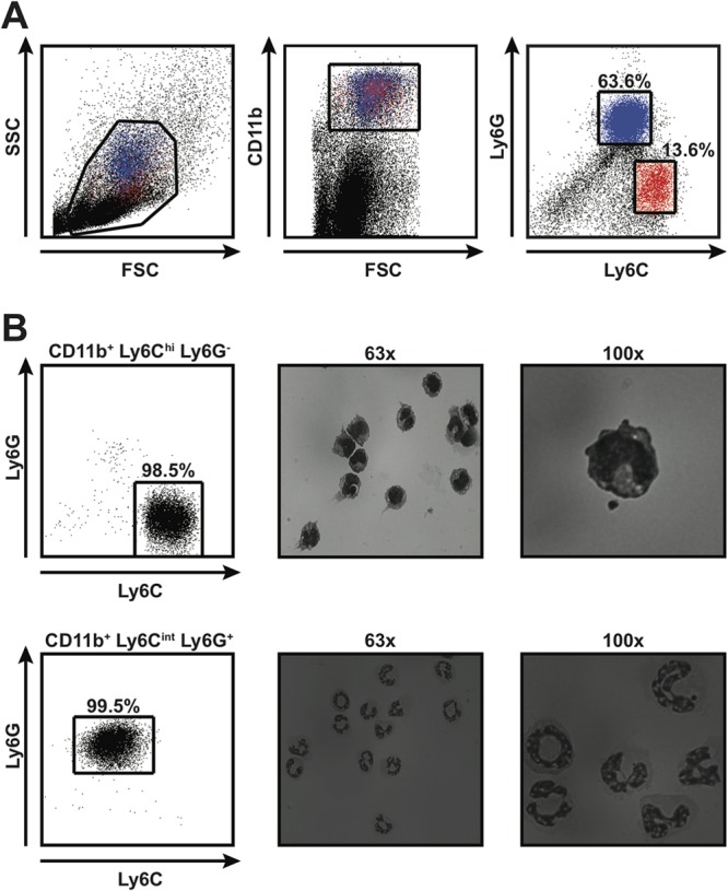 FIG 2