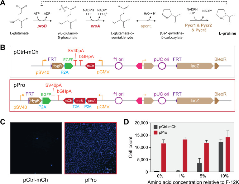 Figure 1—figure supplement 2.