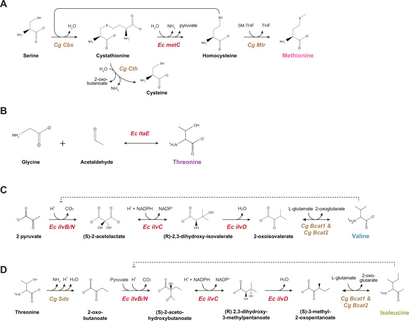 Figure 2—figure supplement 1.