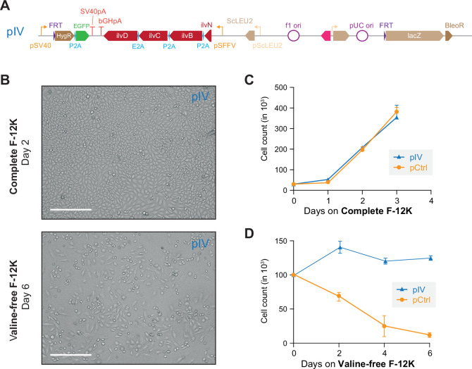 Figure 2—figure supplement 6.