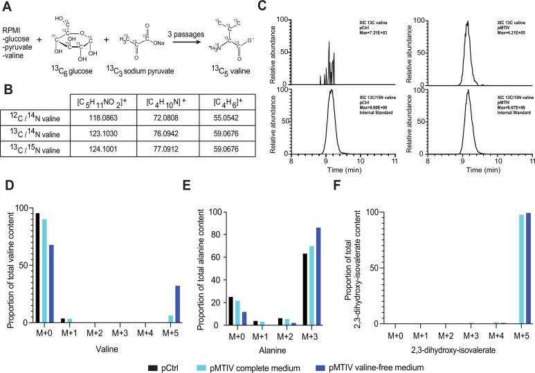 Figure 3—figure supplement 1.