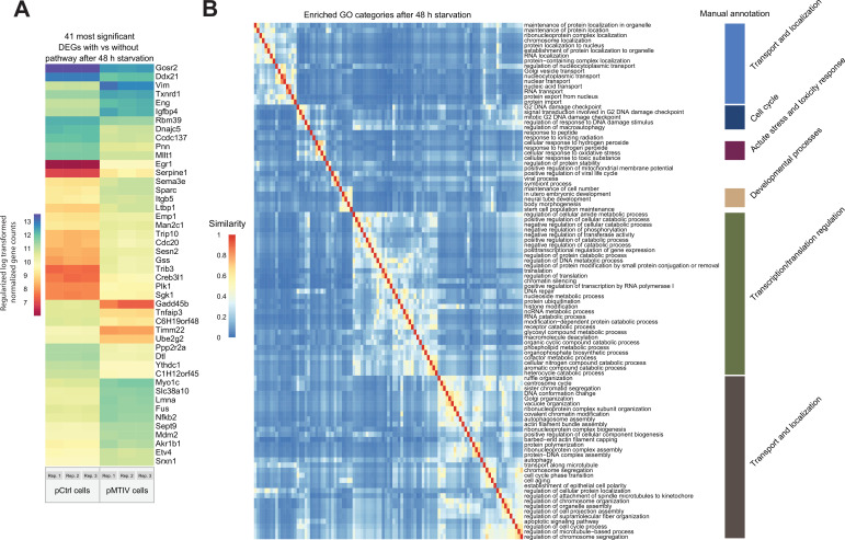 Figure 3—figure supplement 3.