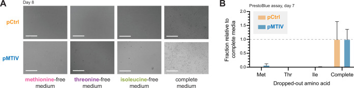 Figure 2—figure supplement 4.