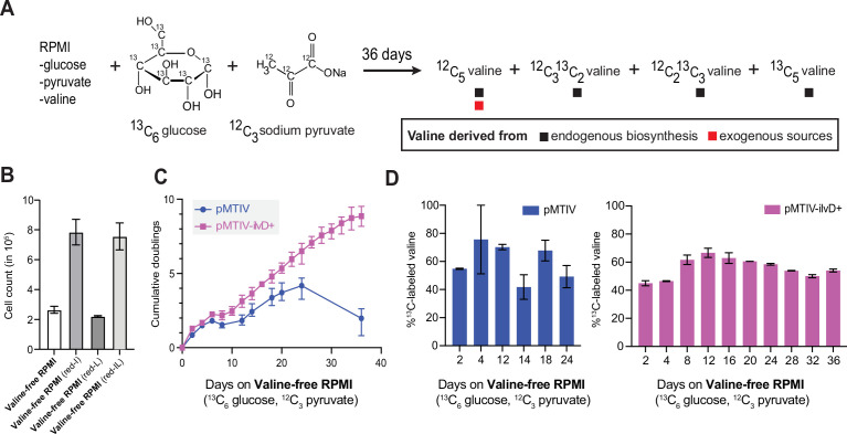 Figure 4—figure supplement 1.