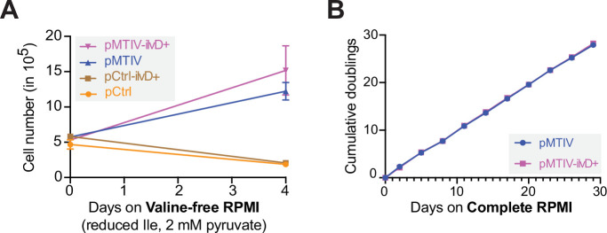 Figure 5—figure supplement 1.