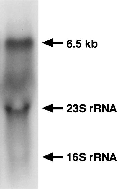 FIG. 9