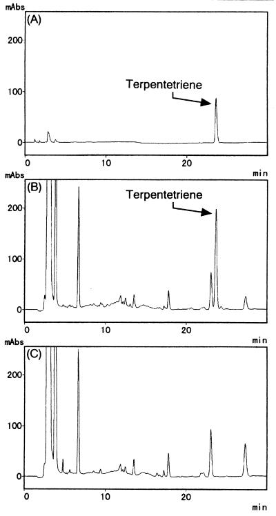 FIG. 8