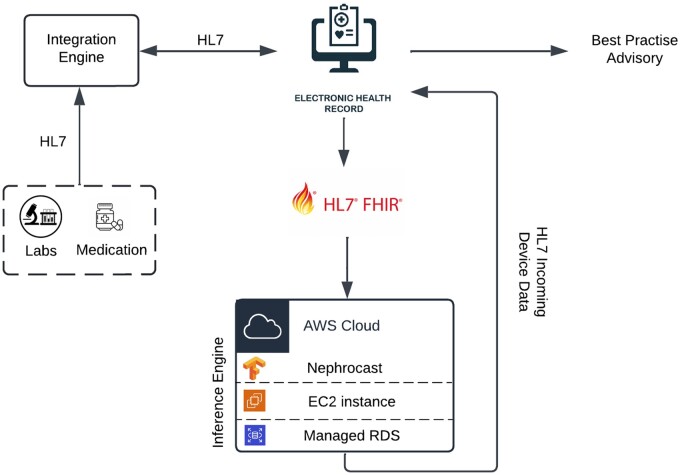 Schematic diagram of the Nephrocast prospective validation pipeline.