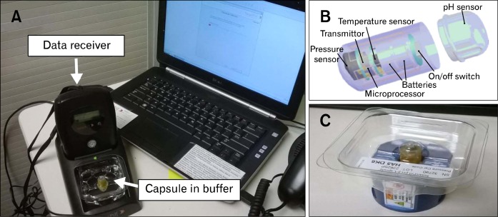 Figure 1.