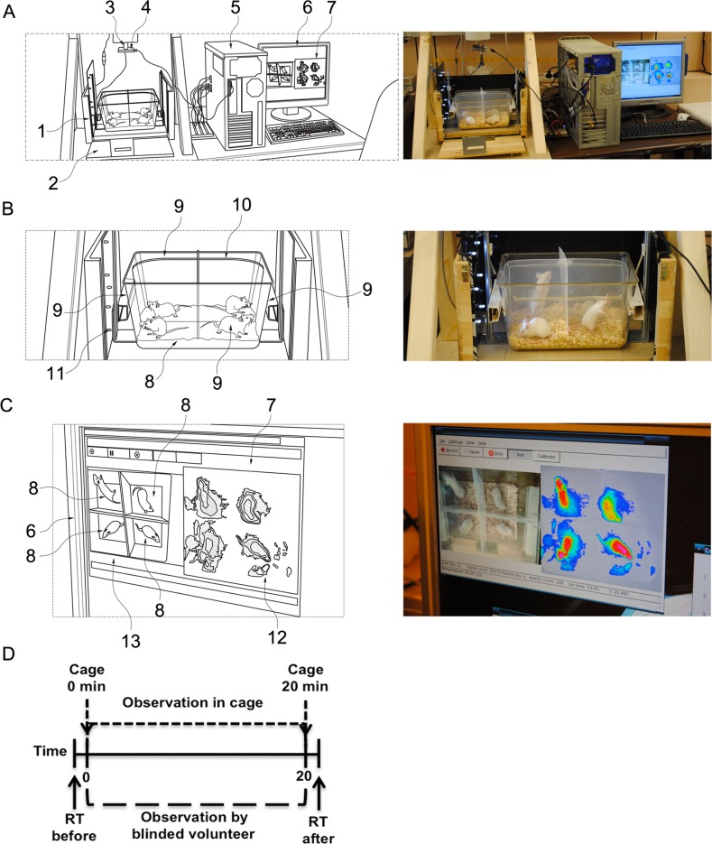 Fig 1