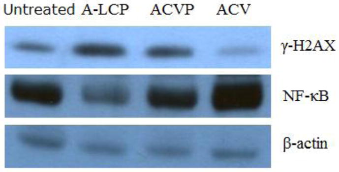 Fig. 8