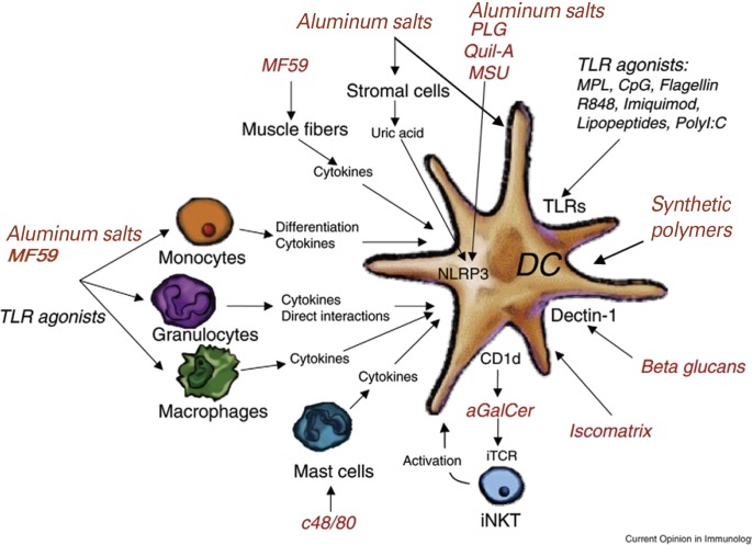 Fig. 3