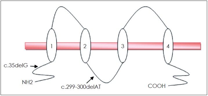 Fig. 5.