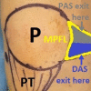Fig 5