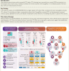 Structured Graphical Abstract