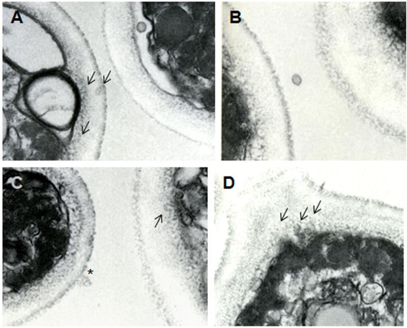 Fig.3