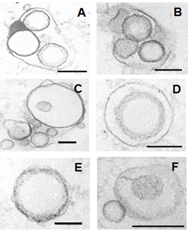 Fig.1