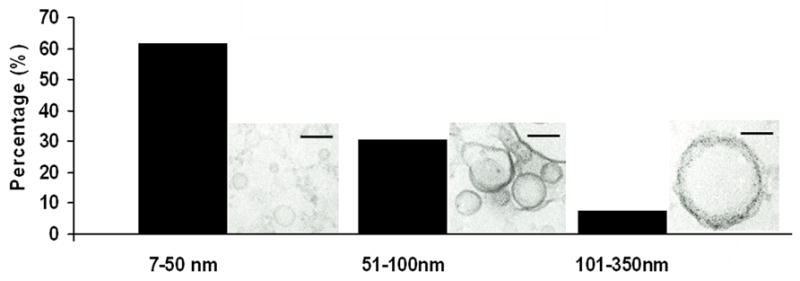 Fig.2