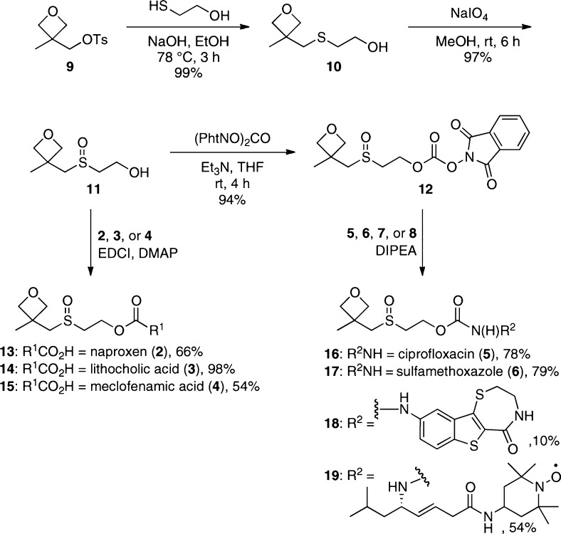 Scheme 1