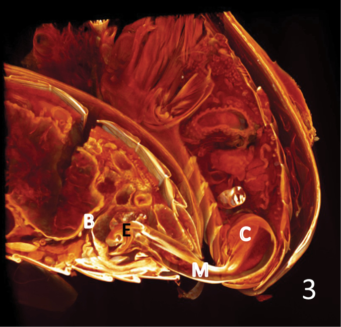 Figure 3.