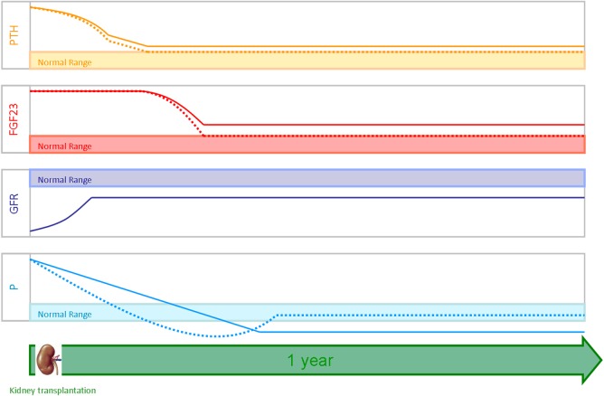 Fig. 1.