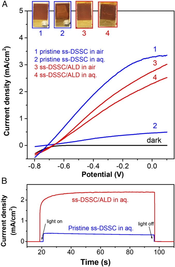 Fig. 3.