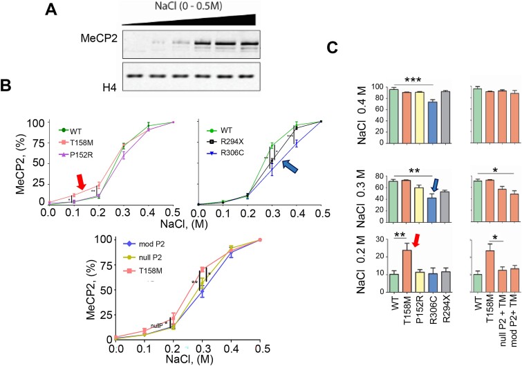 Western blots comparing the level of MeCP2 released with increased concentration of NaCl to assess the strength of DNA binding.