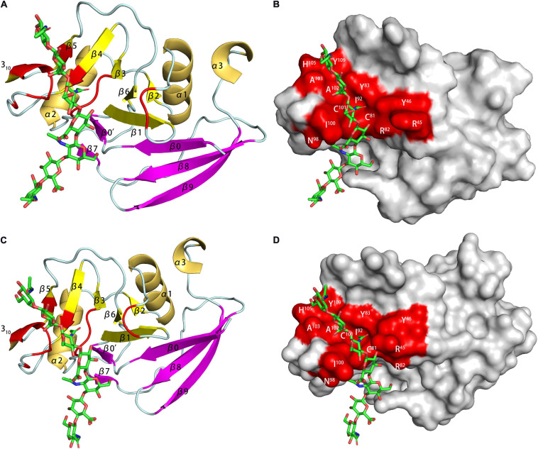 FIGURE 6