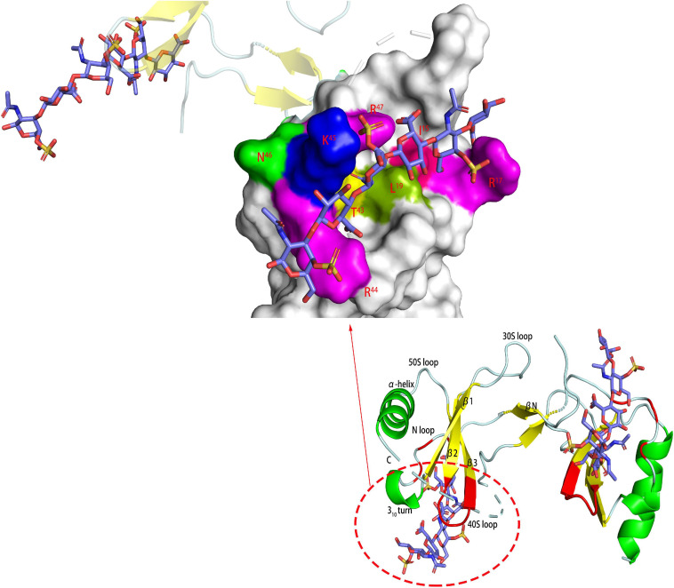 FIGURE 4