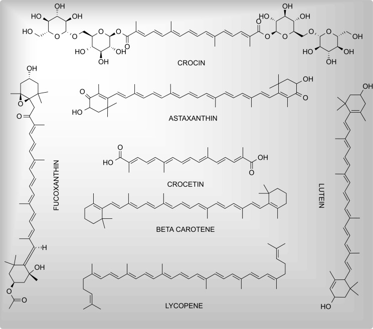 Fig. (4)