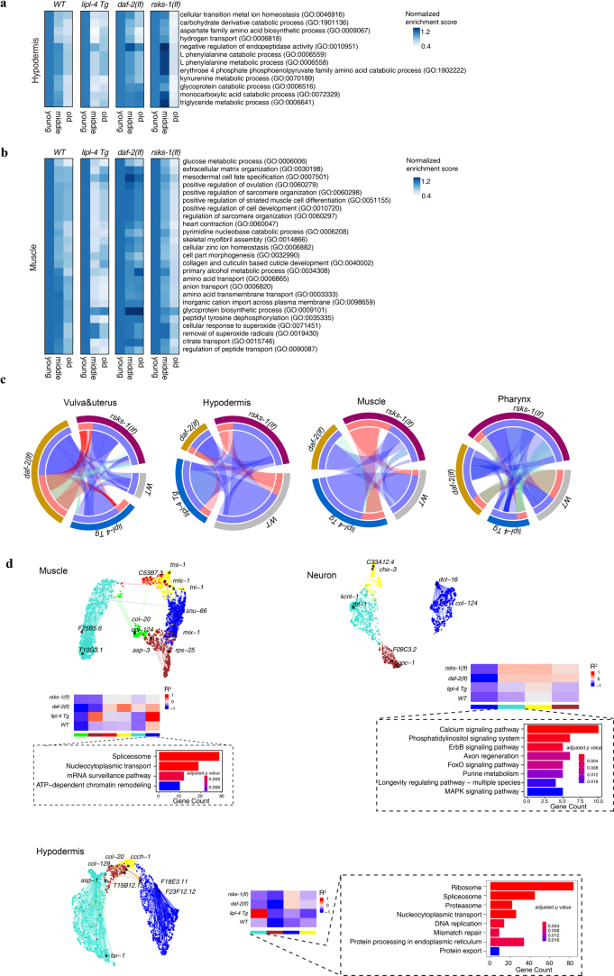 Extended Data Fig. 6