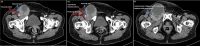 Fig. 3