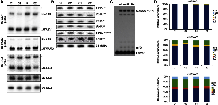 Figure 3