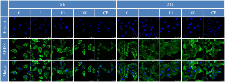 FIGURE 7