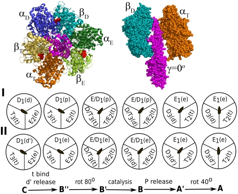 Fig. 1.