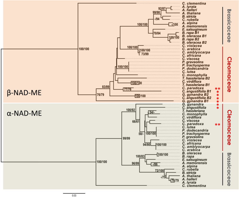 FIGURE 3