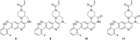 Fig. 6