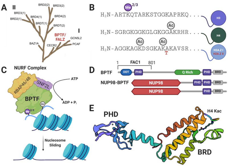 Figure 1: