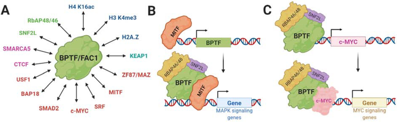 Figure 2: