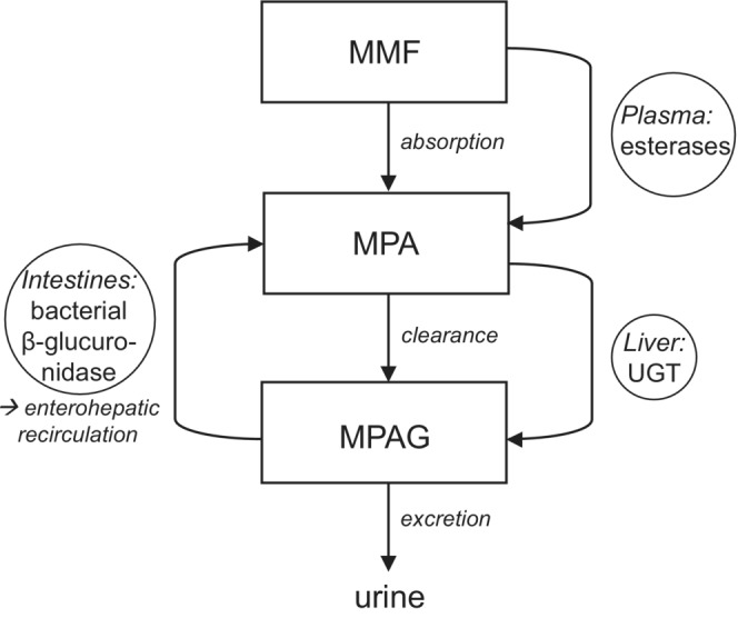 FIGURE 1