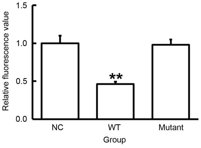 Figure 6.