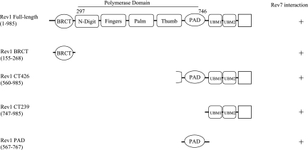 FIG. 7.