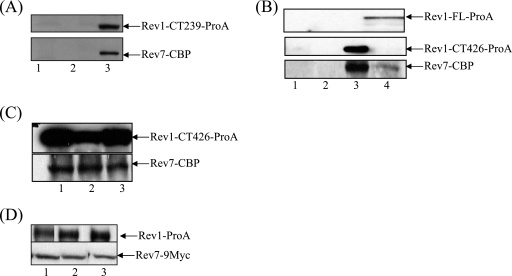 FIG. 5.