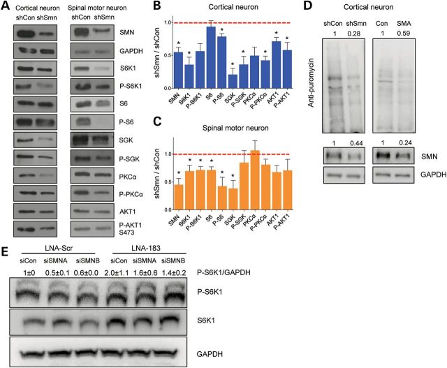 Figure 4.