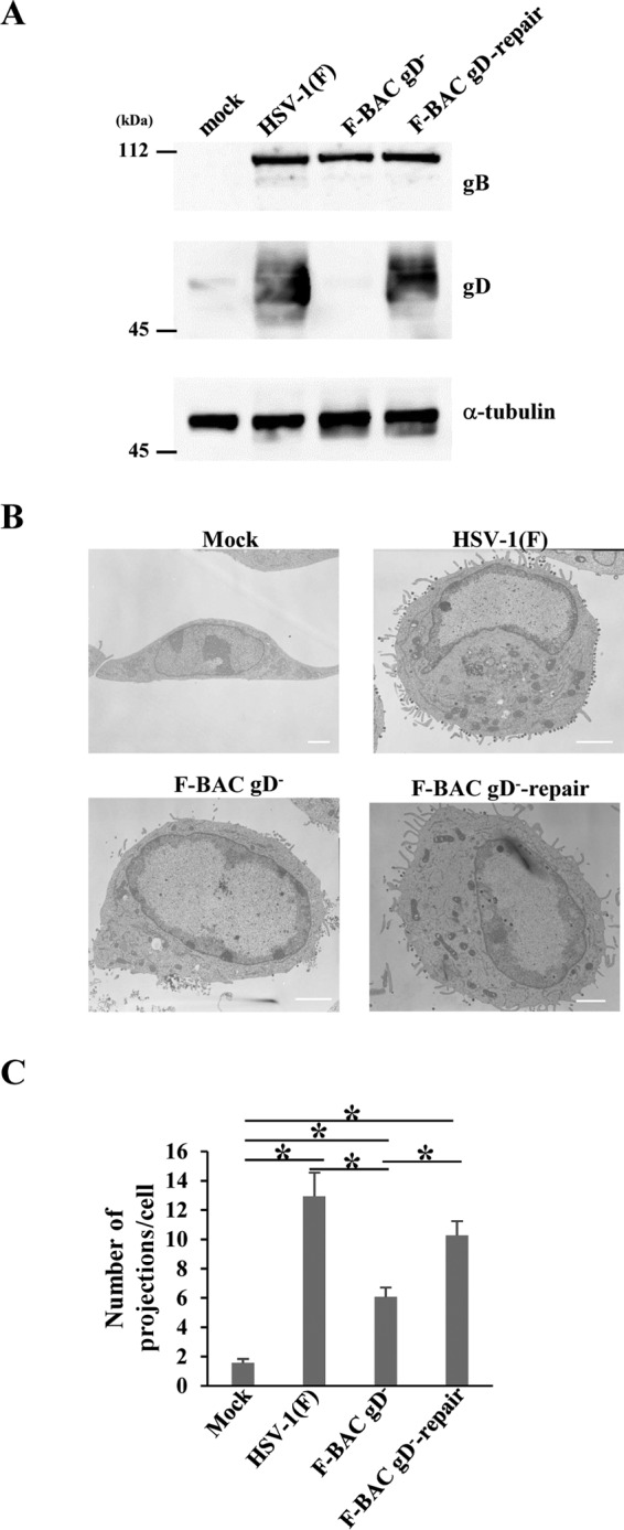 FIG 10