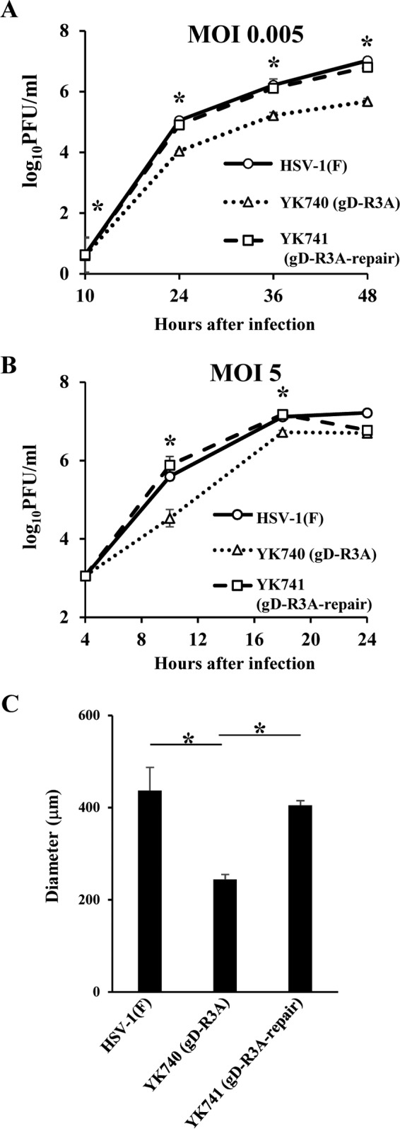 FIG 7